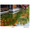 Circular Polarizing CPL Filter 37mm 52mm 58mm Photography for Canon Nikon Sony Camera lens