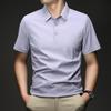 Summer Short Sleeve Polo Shirt Men's Business Casual Lapel Collar Versatile Sports T-Shirt