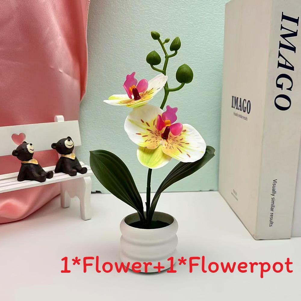 Flower Phalaenopsis Potted For Event Decor And Indoor Home Embellishment