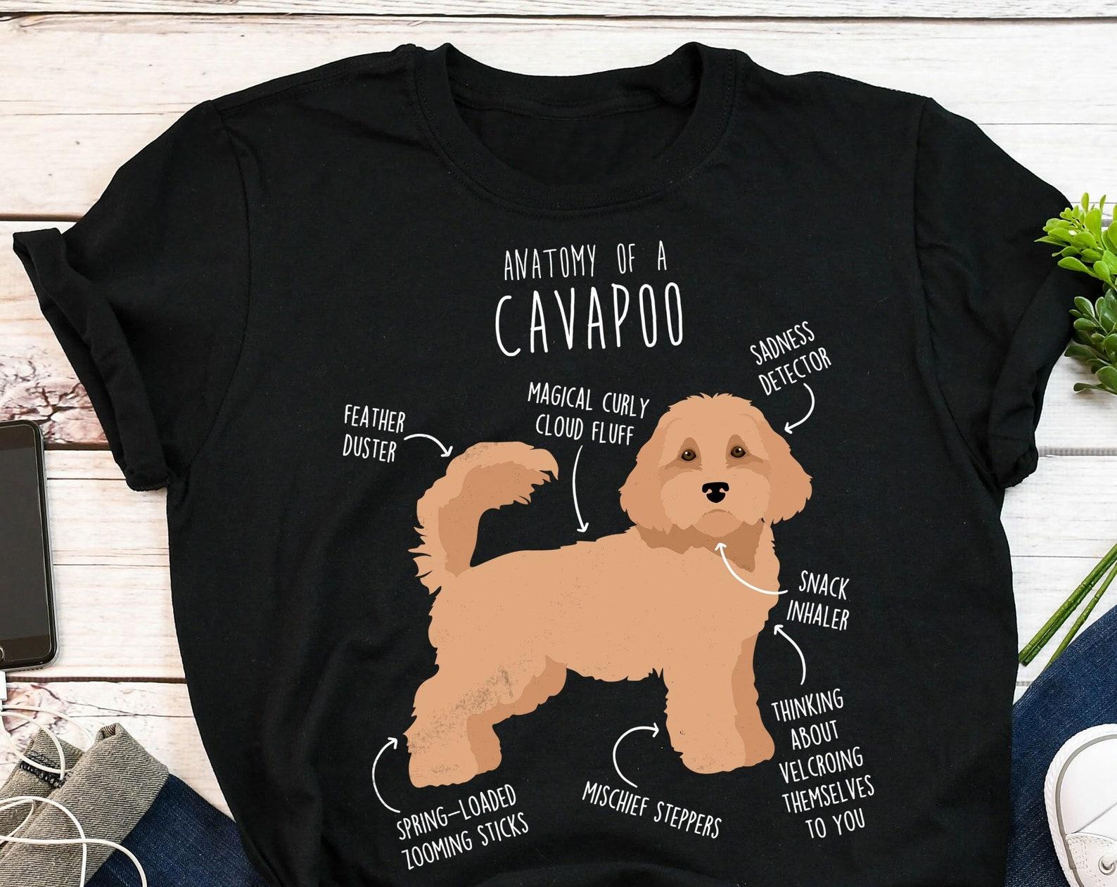 Cavapoo Shirt, , , Funny Tan Cavapoo Dog Lover Gift, Cute Cavoodle T-shirt, Doodle Poodle Mix Cross Tshirt, Pet Tee, Cavapoo Mom Dad 130