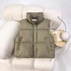 Down Cotton Jacket and Vest for Women 2025 Autumn Winter New Korean Version Loose Vest Stand Collar Solid Color
