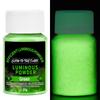 20g Polvere Fluorescente Vernice Luminosa Pigmento Resina Epossidica Pittura Fai da Te Unghie Brilla al Buio Trucco Pittura Corporea Decorazione Festa