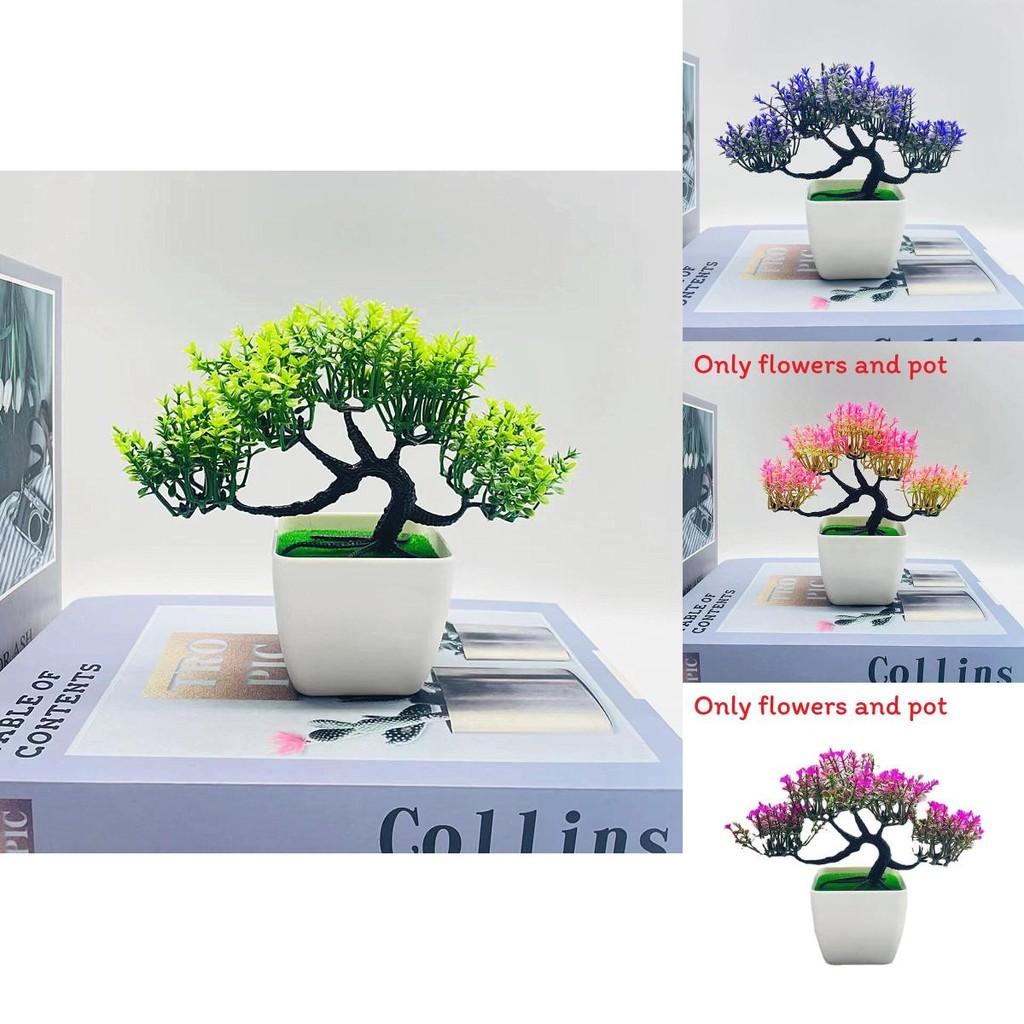 Faux Pine Plant With Injection Molding For Office Display