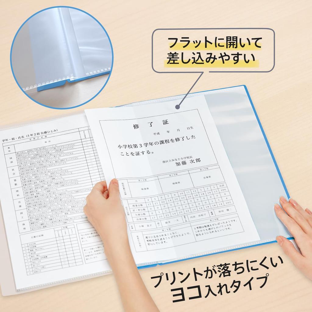 Plus Pocket Report Card Horizontal 10 Pack of x 10 File, File, Insert, Pockets, 10, Blue, FL-198GD, 79-970