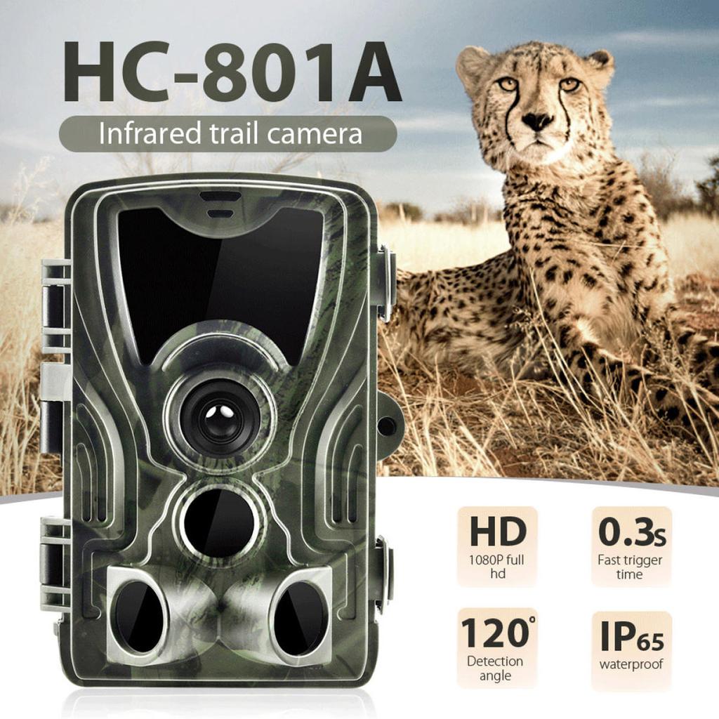 Hc801a Jagd-Hinterkamera 20 MP 1080p 940 nm Infrarot-Nachtsicht Ip65 Wildtierbewegung aktiviert 0,3 s Trigger-Po-Falle