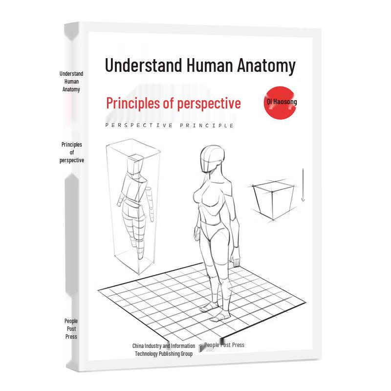 Understanding Human Anatomy & Perspective