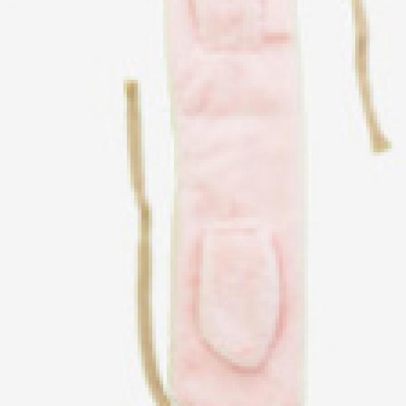 Daiso Rabbit Bundled Earmuffs