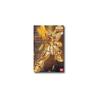MG Hyper Mode God Gundam Fighter G 1/100 GF13-017NJII (Mobile Gundam)