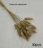 Whisk Rabbit Tail Grass Dried Flower Bouquet - Natural Pampas Grass & Small Reed