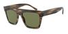 GIORGIO ARMANI AR8177-54092A Glasses. Sunglasses, Color Brown. Unisex.