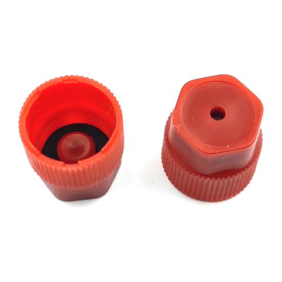 10 Stk/sett R134a Cap Set 16mm Rød 13mm Blå Bil Klimaanlegg Støvhetter for AC System Ladeport Caps 5 sett Blå lav side 5 sett rød høy side