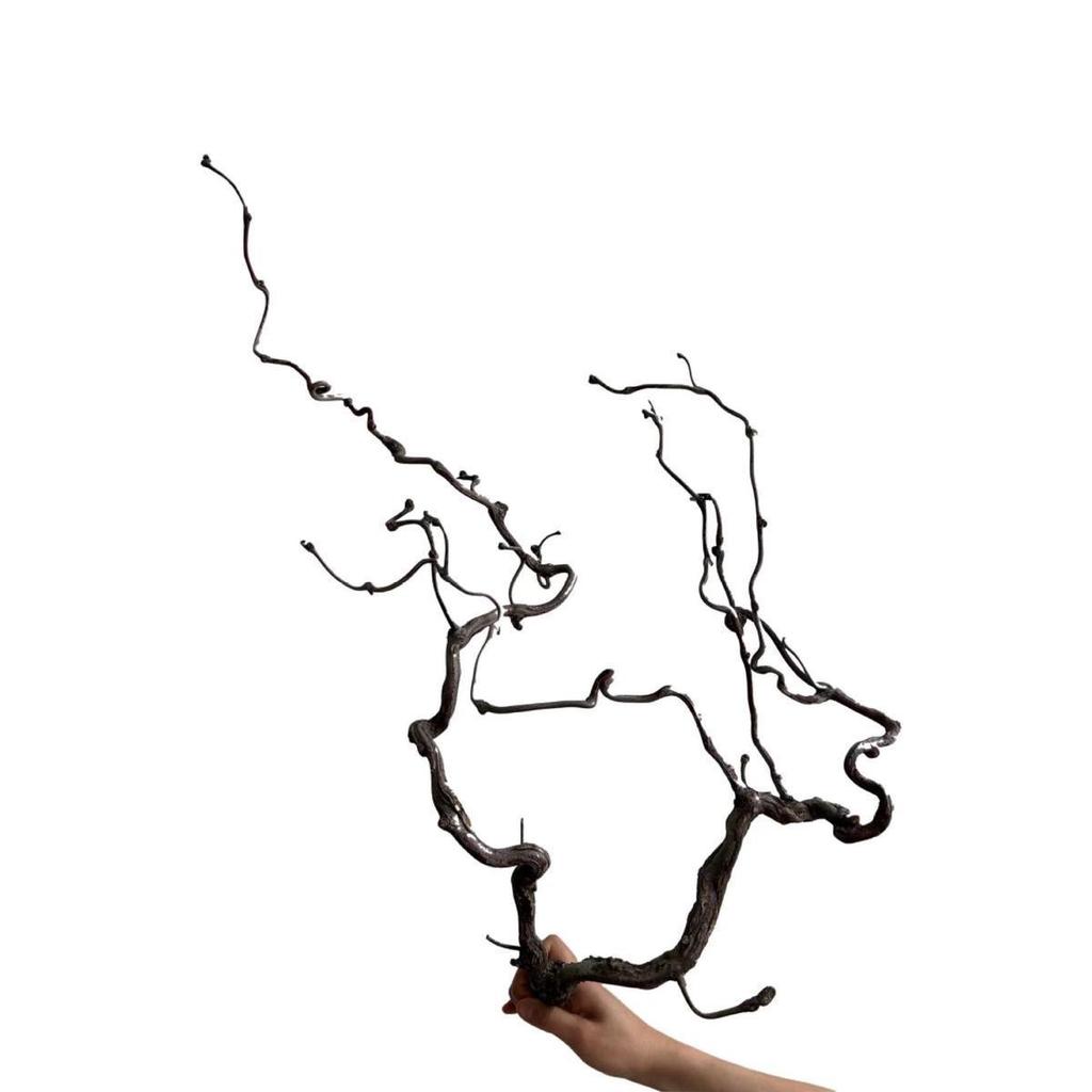 Asian-Inspired Floral Arrangement: Withered Jujube Branches for Home, Hotel, or B&B Decor