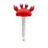 Cartoon Animals Swimming Pool Float Temperature Measurement 10ml