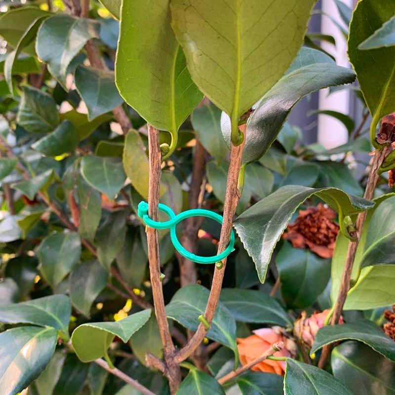 100Pcs Garden Vine Strapping Clips Plant Bundled Buckle Ring Holder Tomato