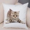1PC 45x45cm Cute Cat Pillowcase for Home Sofa Children Room Decor Lovely Pet Animal Print Cojines Cushion Cover Pillow Case