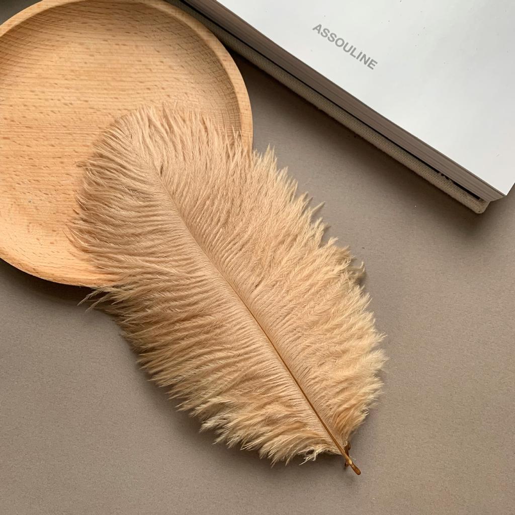 Color ostrich hair 15-20CM ostrich feather Internet celebrity photo background wall feather cake flower arrangement DIY decoration