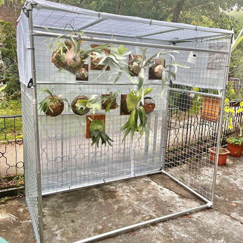 PVC Tarpaulin Succulent Plants Rain Cover Balcony Windproof Rainproof Cloth Terrace Gazebo Waterproof Canopy Garden Clear Tarp