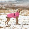 Four Seasons Universal Dog Jacket Two-piece Set with Removable Lining Dog Clothes Medium and Large Dog Warm Pet Clothes