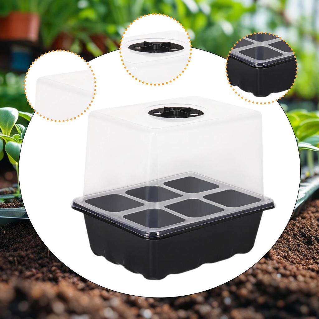 Plant Starter Tray Growing Indoor Vented Kit 6 Cells for Wheatgrass Seedling