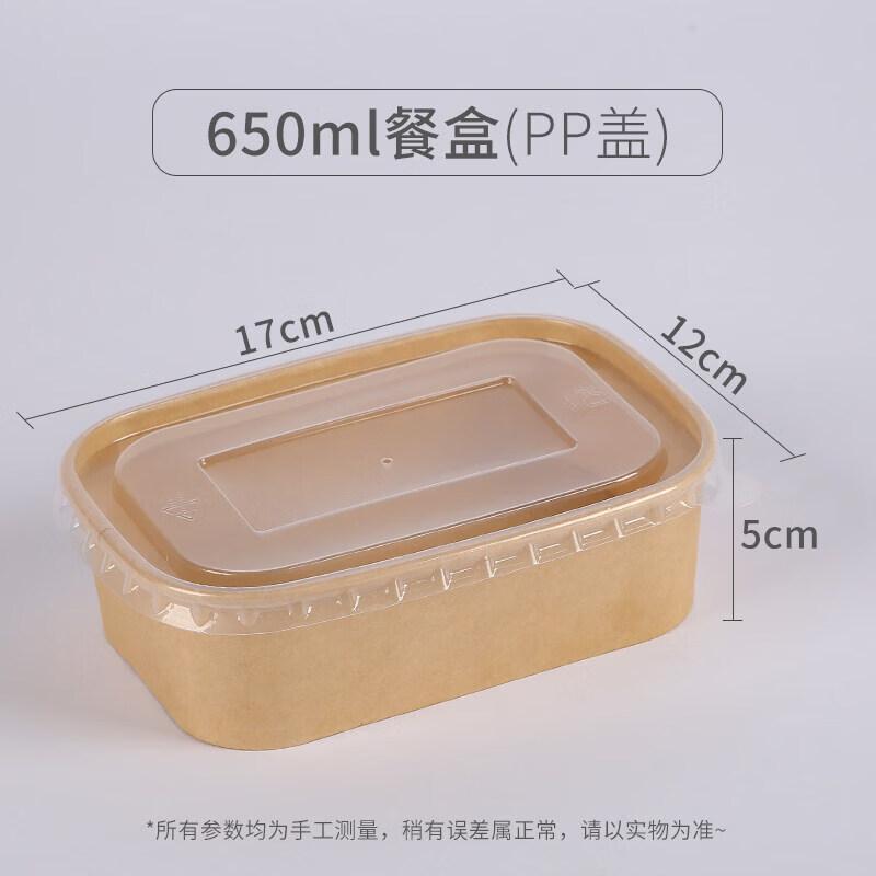 Disposable Paper Picnic & Bento Box with Lid