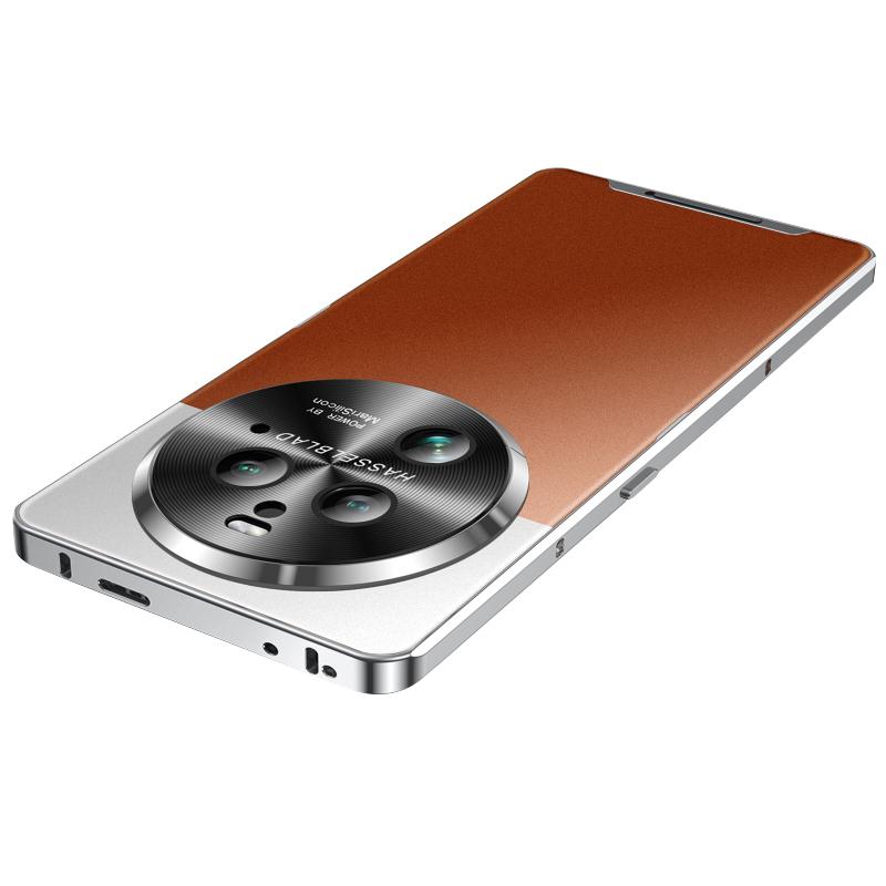 

Для Oppo Find X6 Pro Магнитный чехол для телефона Гальванизированная металлическая рамка Матовая задняя крышка с защитой объектива Silver