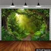 2D Üppiger Regenwald Kulisse Fotografie Hintergrund Banner
