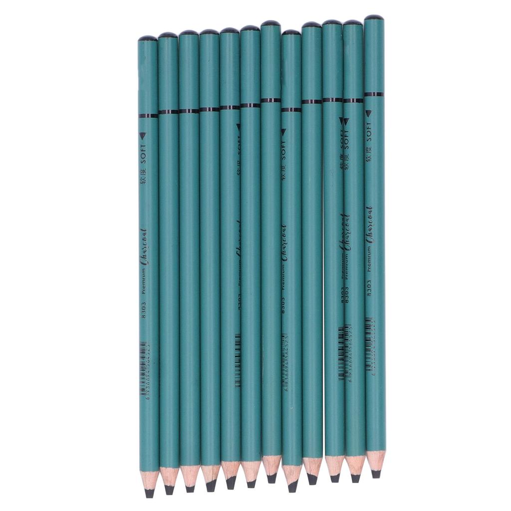 12Pcs Charcoal Pencils Flexible Write Smoothly Easy To Use Charcole Art Supply for Detailed Drawing