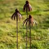 Iron Echinacea Garden Ornaments Rusty Plant Sculpture Easyly Install Outdoor Decorative Stake