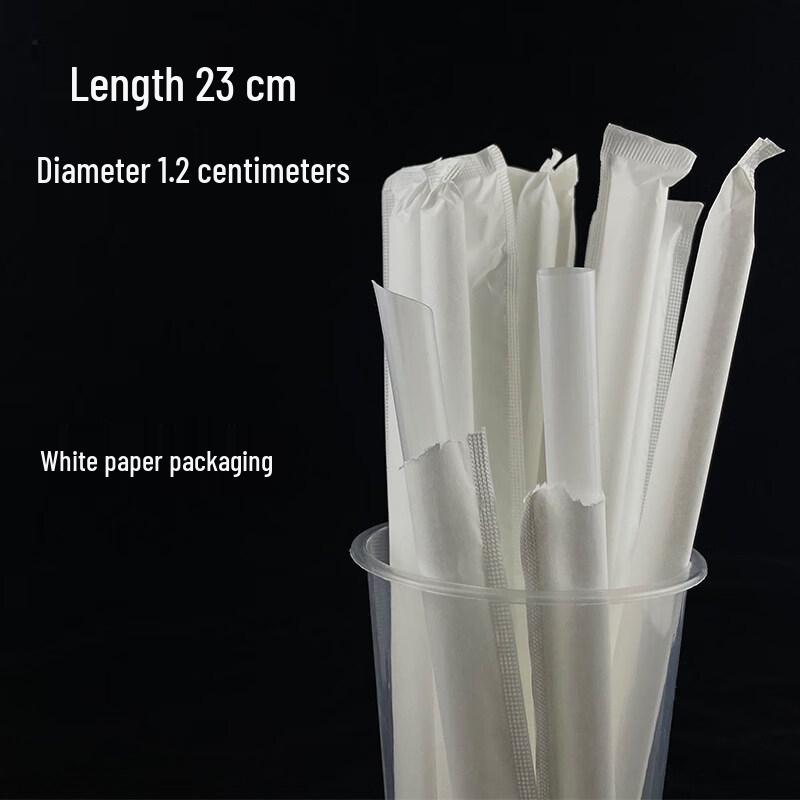 ZISIZ Individually Wrapped Plastic Disposable Straws - 1000 Count