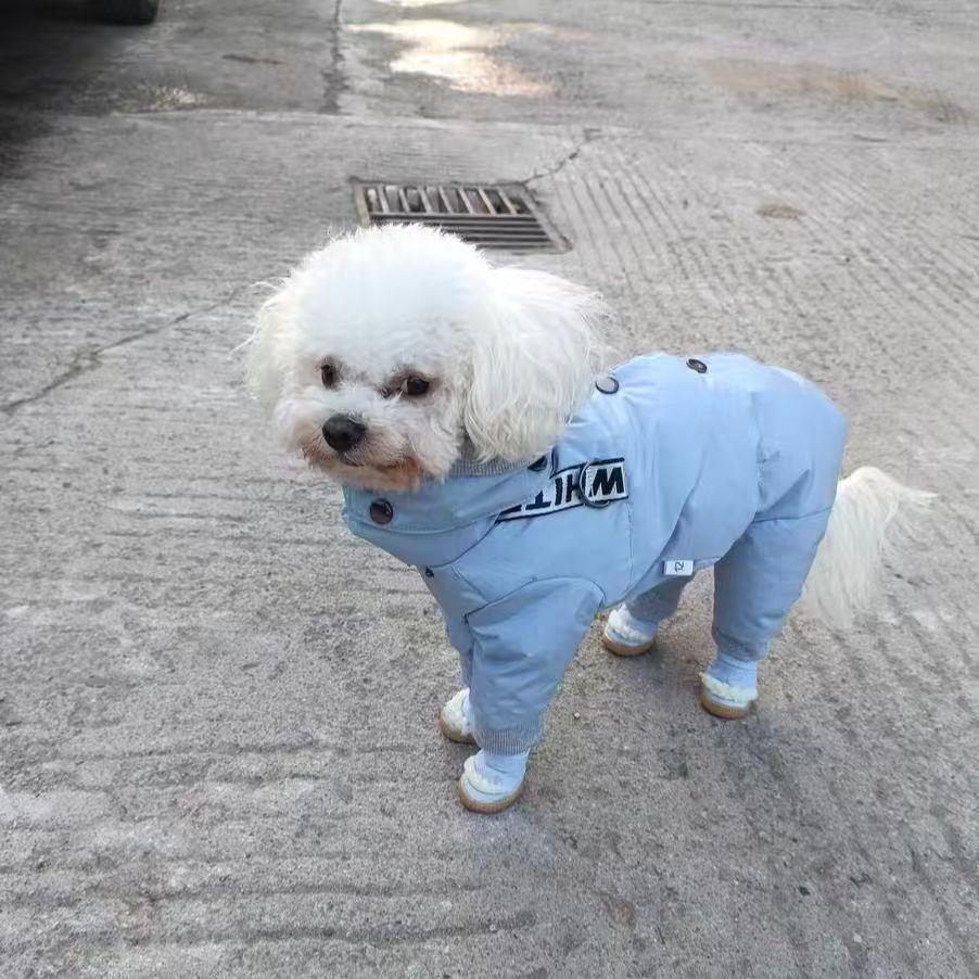 

Pet winter clothing thickened belly bag down cotton clothing teddy bear anti-stomach cold traction buckle cold and anti-static xxl chest 55, back 45, about 7.5-9kg