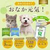 Renewal Veterinarian Development IYONE Stomach Health Intestinal Activity Support Supplement for Dogs and Cats (3 Bags)