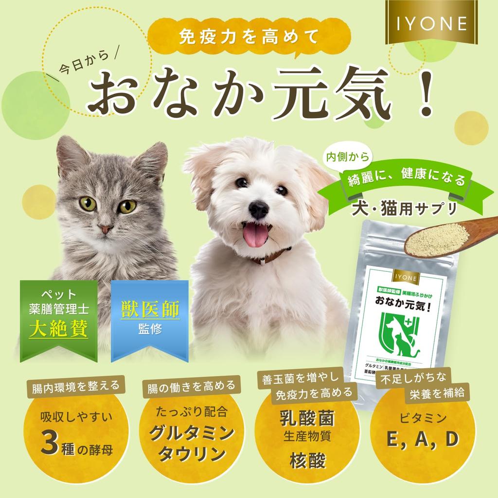 Renewal Veterinarian Development IYONE Stomach Health Intestinal Activity Support Supplement for Dogs and Cats (3 Bags)