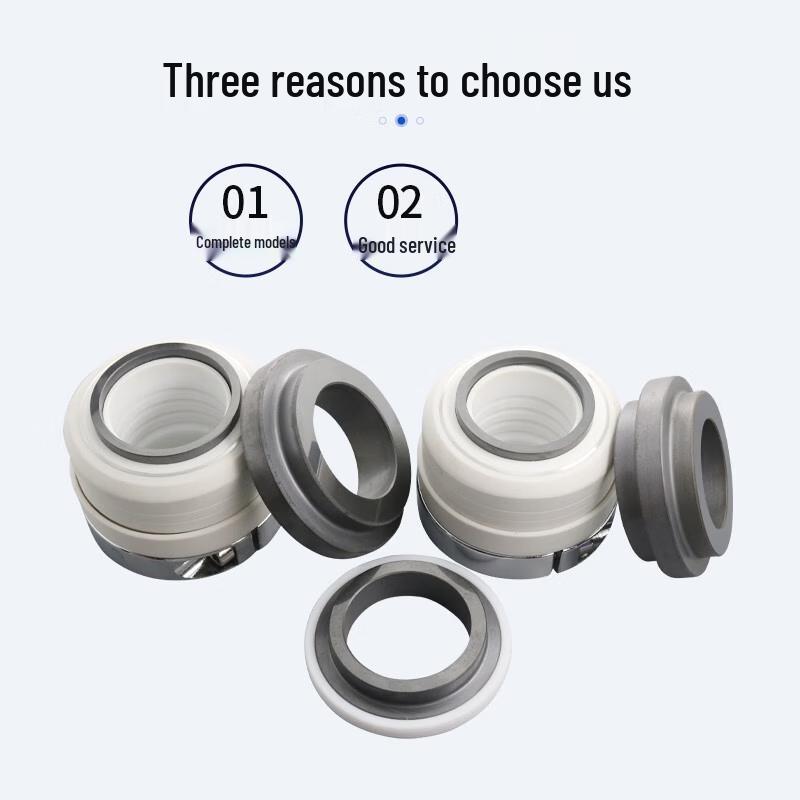 Shourunheng Mechanical Seal
