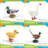 Farm Animal Pvc Figures With Static Bird Models For Childrens Learning And Collection