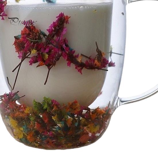 Sušená květina Dvoustěnný hrnek na kávu z čirého skla 250/350 ml Izolovaný skleněný šálek na horké studené nápoje Šálek na cappuccino Latte Espresso Jedinečný dárek pro