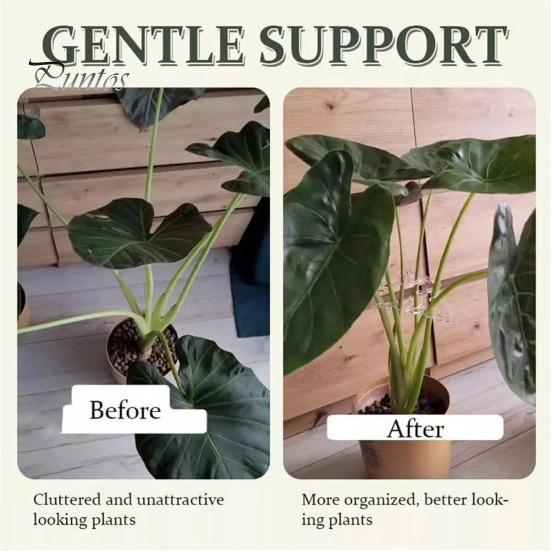 Plant Support Monstera Leaf Grapple Stem Holder for Plants Vertical Growth Stem Support for Indoor Outdoor Flowers Herbs