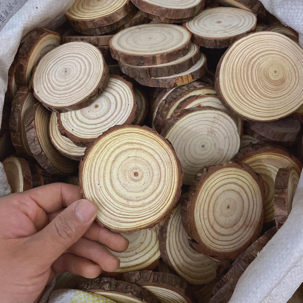 DIY Hand-Painted Wooden Slices for Crafts and Kindergarten Decor – Small Natural Wood Pieces with Growth Rings