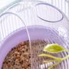 Convenient Bird Cage Hanging Plastic Feeder Box Parrots Food Dispenser Box for Pet Owners Providing Large Food Storage