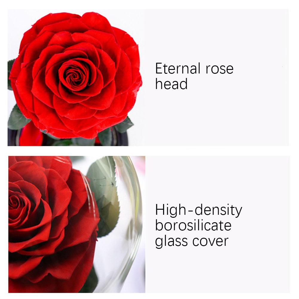 Preserved Rose In Glass Domes With LED Light Gift For Girlfriend Sturdy Lasting For Year Romantic Dinner Setting