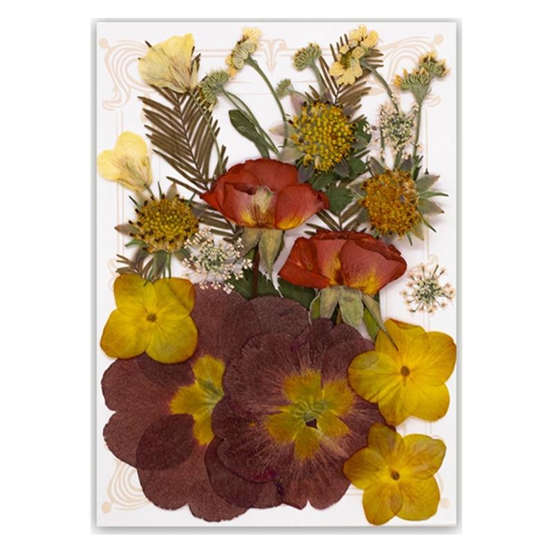 Natural Pressed Dried Flower For Epoxy Resin Dry Flowers and Leaves Set for Soap Candle Jewelry Making Scrapbooking