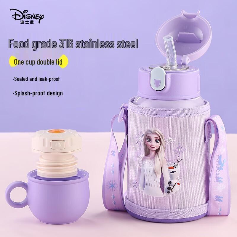 Disney Kids 316 Stainless Steel Insulated Straw Bottle