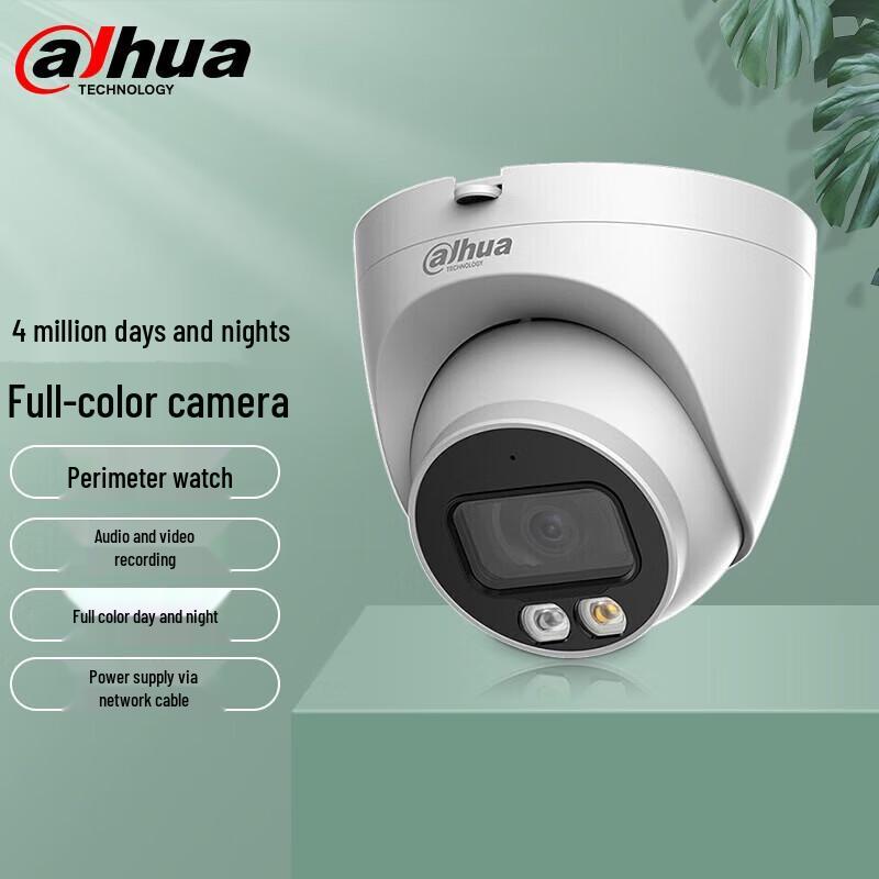 

Dahua 4MP Outdoor PoE Dome IP Camera
