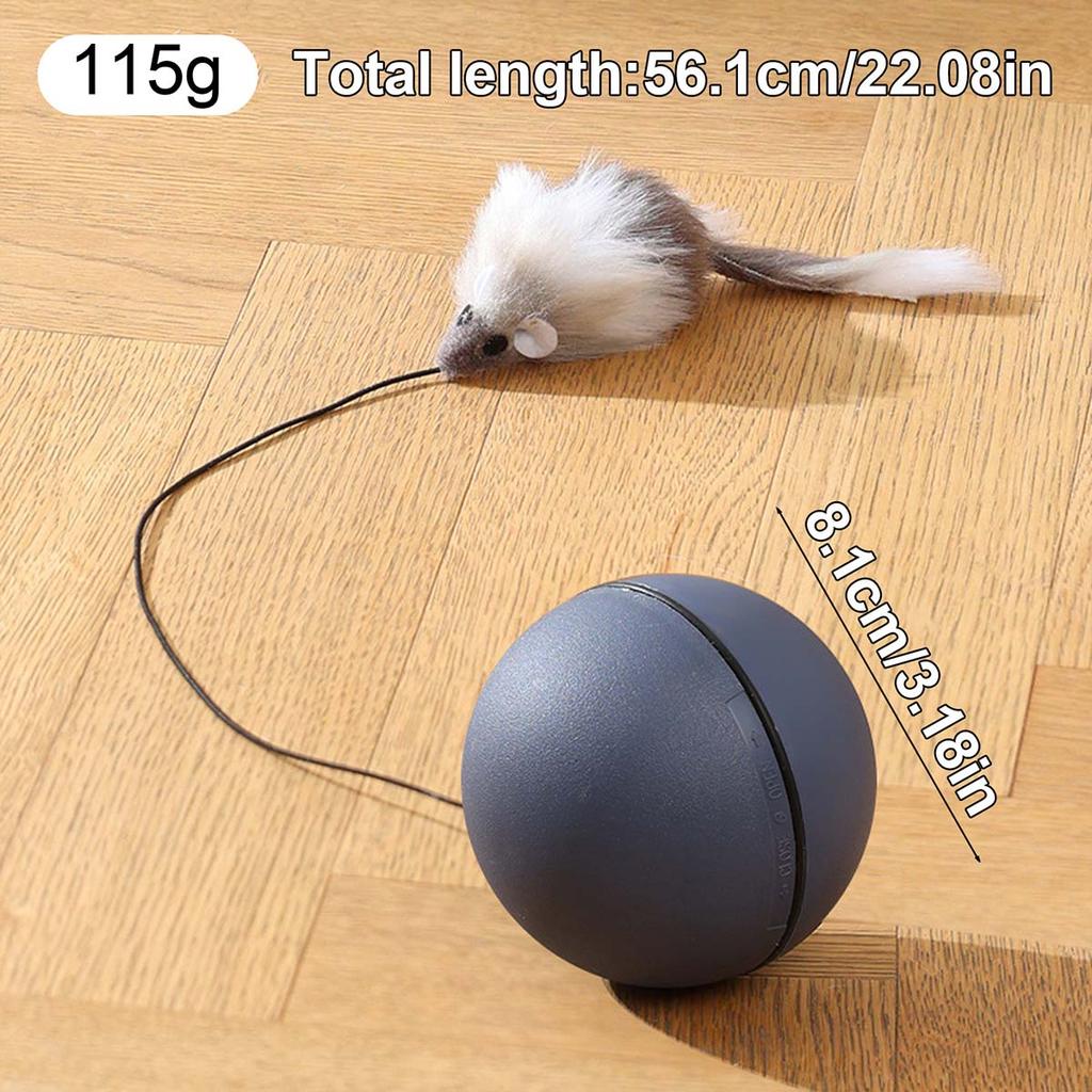 Interactive Rolling Cat Ball Automatic Intelligent Ball Kitten Chase Toy Interactive Dog Toy Ball For Small & Medium Kitty & Dog