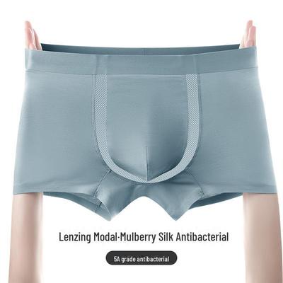 Men's Breathable Antibacterial Mesh Boxer Briefs with Modal Silk and Personalized Waistband