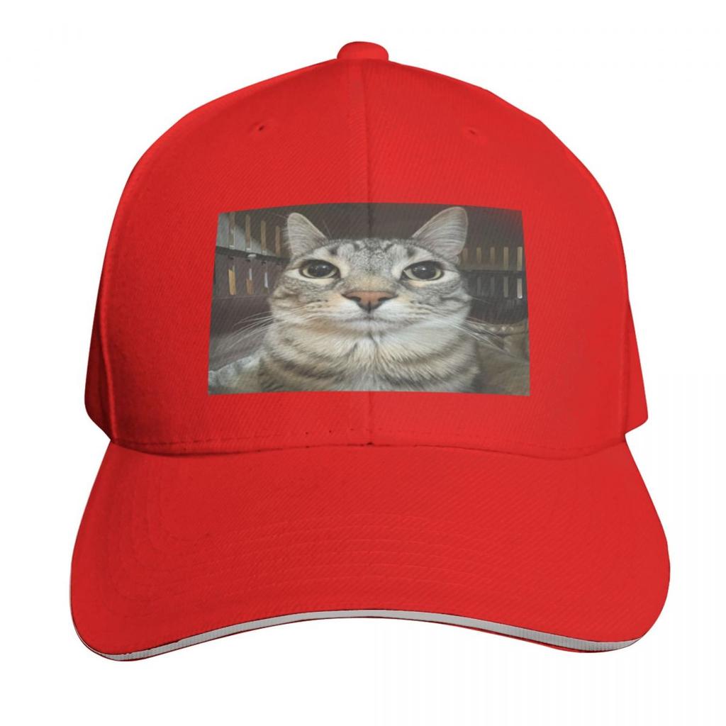 Cat looking directly at you Baseball Cap sun hat western Hat Hat Unisex For The Sun Hood Women Unisexs