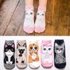 Chaussettes en Coton pour Femme 5 Paires Pack Varié pour le Printemps et l'Été