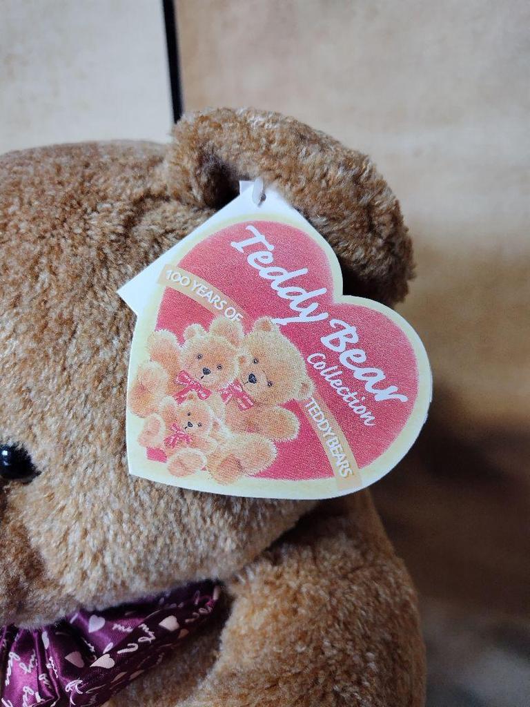[USED] Teddy Bear Teddy Bear