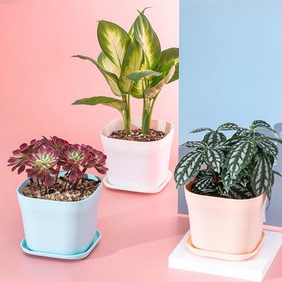 Flower Pots Durable Anti-deformation Thickened Lightweight Plastic Succulent Plant
