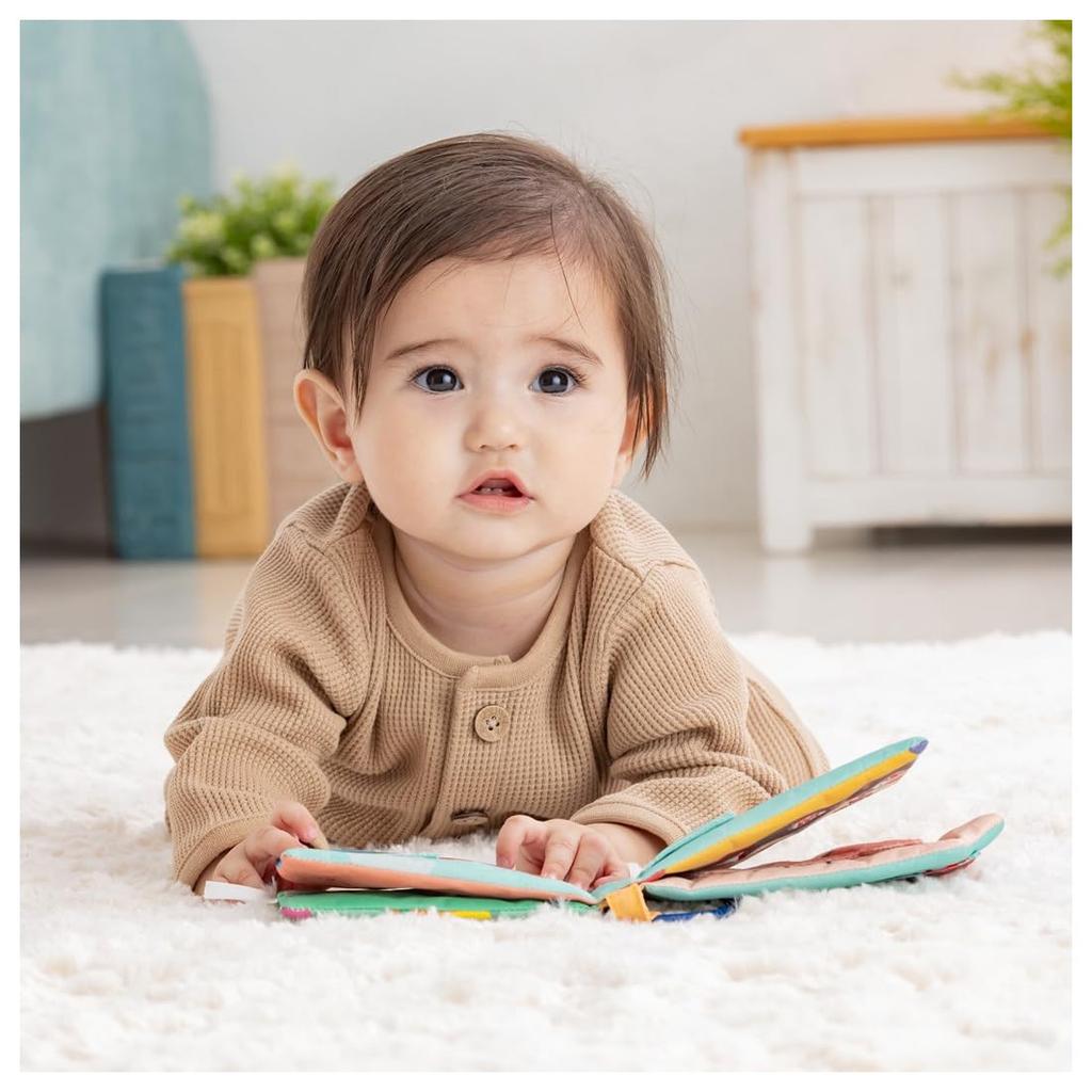 Flip and Fabric Book Tomica and Tom Peek-a-Boo