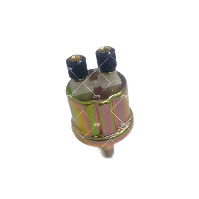 Chiyuan Dongfeng Mengshi EQ2050 Oil Pressure Sensor